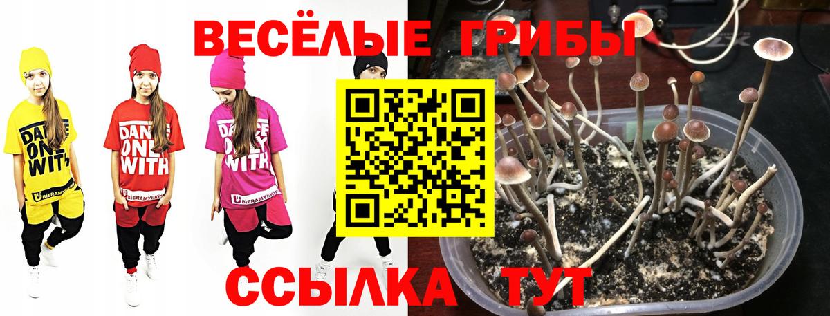 Саянск  Галлюциногенные грибы мицелий  Галлюциногенные грибы мицелий  Вход с VPN 